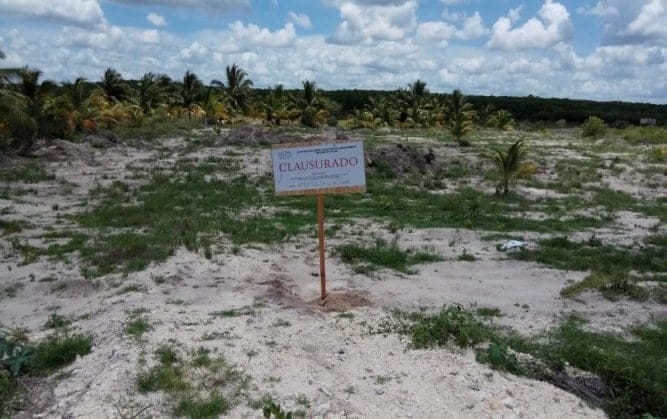 Profepa clausura obras en Progreso
