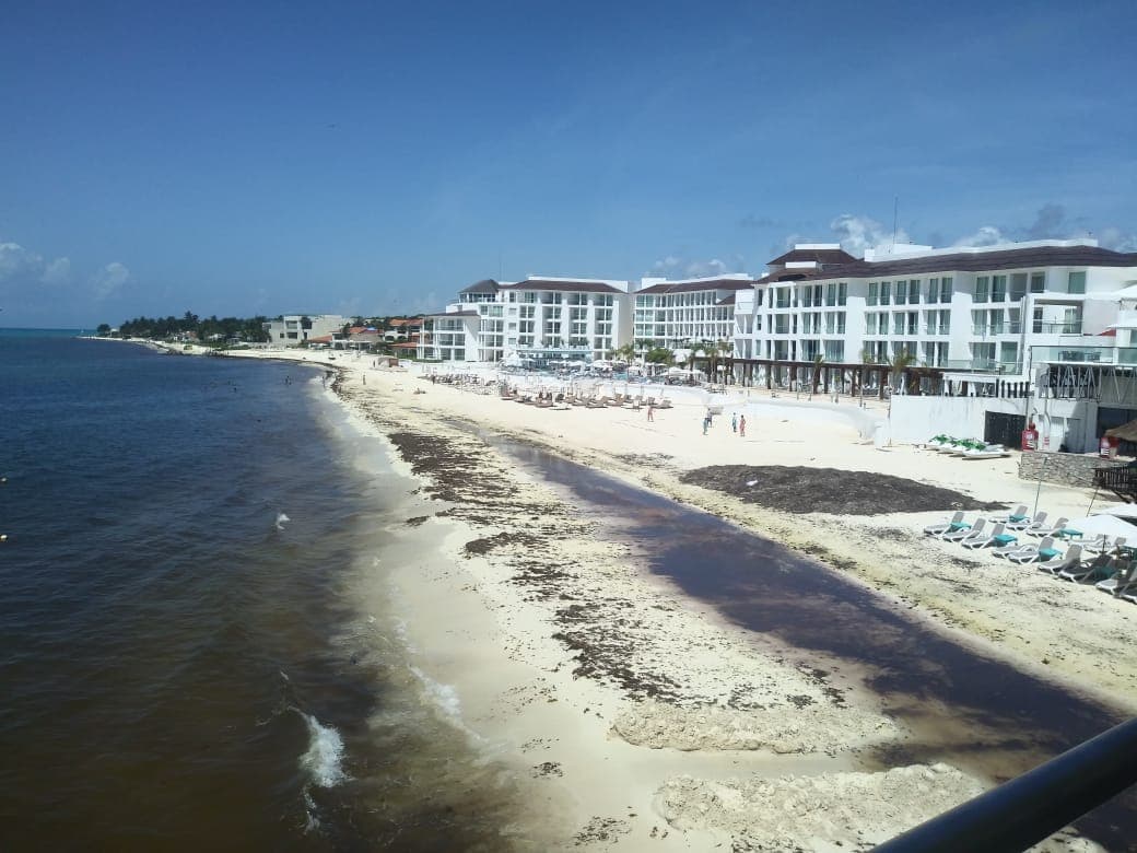 Limpieza de playa, una prioridad: Náuticos