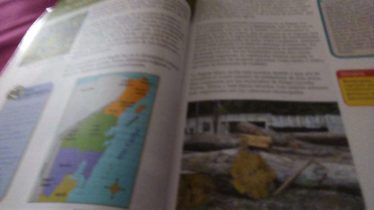 Omiten libros de la SEP a Puerto Morelos como municipio