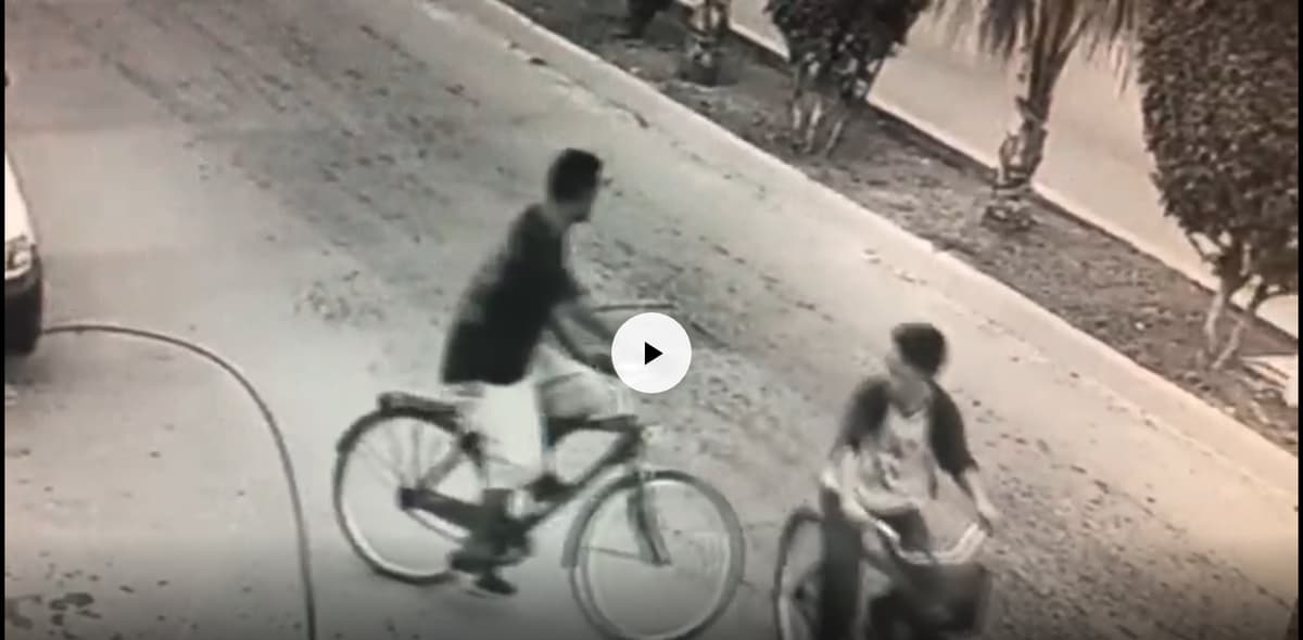 Ladrones seriales de la Zazil Ha, captados en video