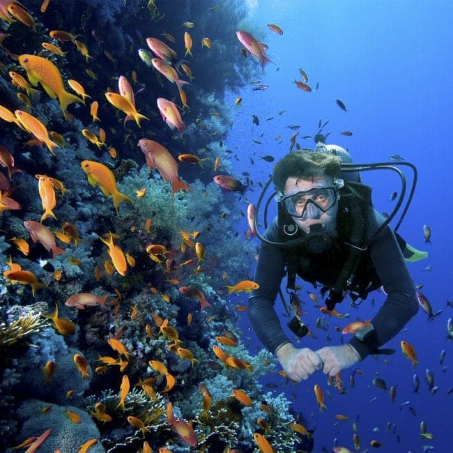 Proponen cerrar el Arrecife Paraíso al buceo