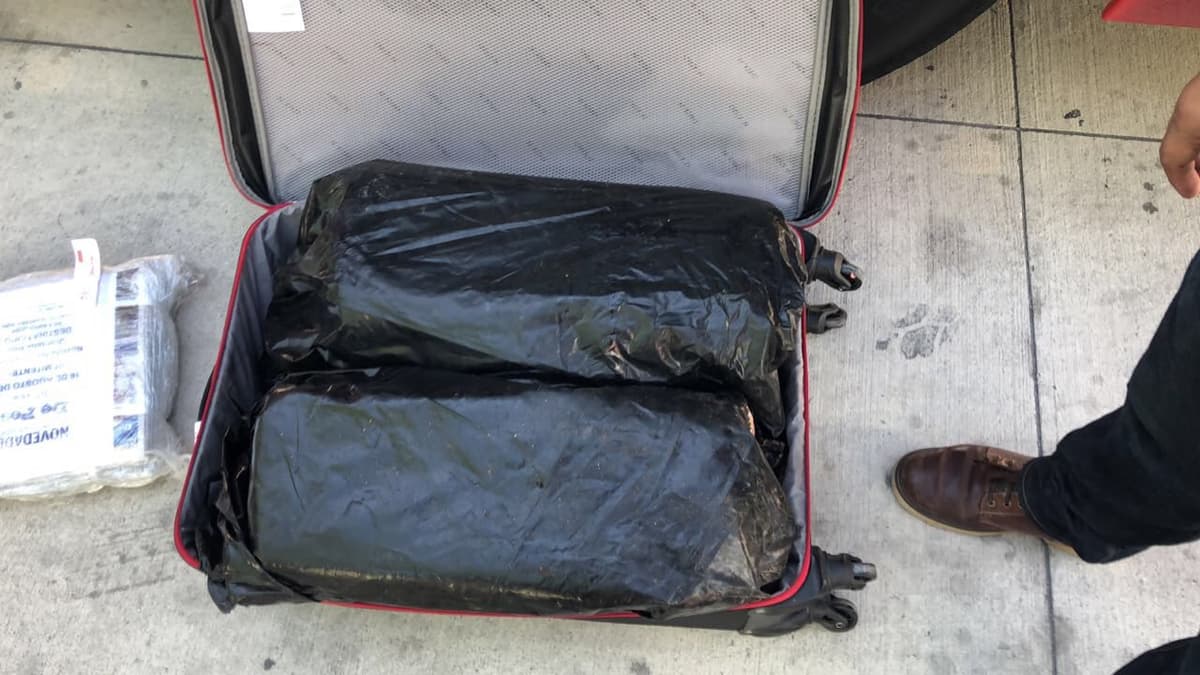 Un cargamento de marihuana detenido en Playa del Carmen