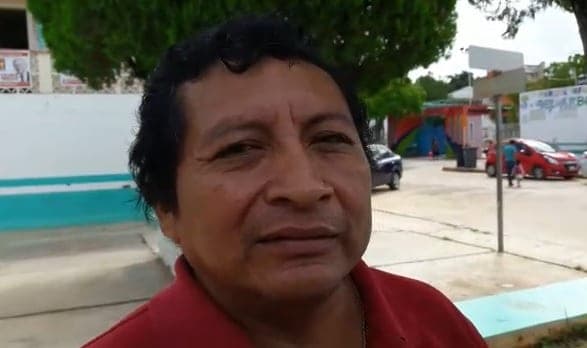 Cultivos mecanizados amenazan a las abejas: apicultores