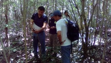 Es un ocelote, no un jaguar, el felino visto en la UT Riviera Maya
