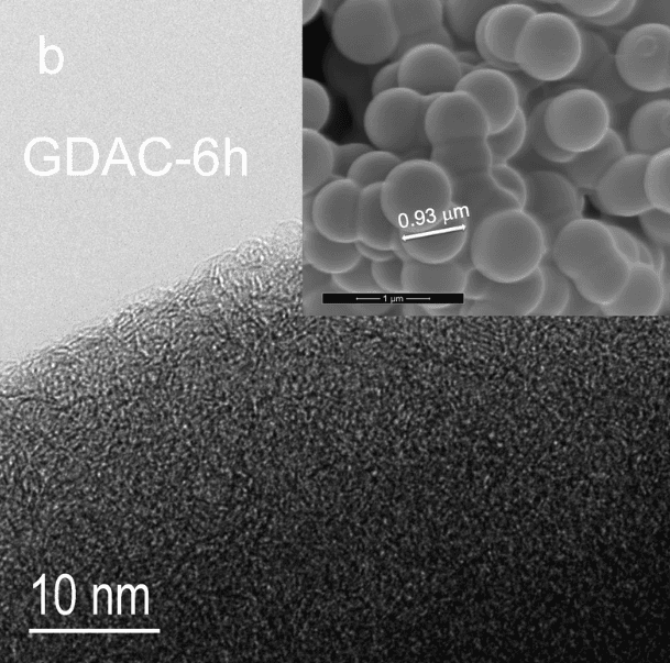 Comité científico de la UNAM analiza técnica de carbonización anti-sargazo