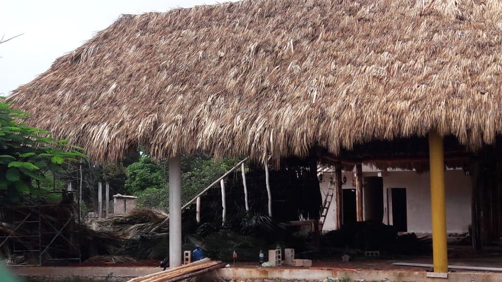 Colapso de palapa deja tres heridos en Morelos