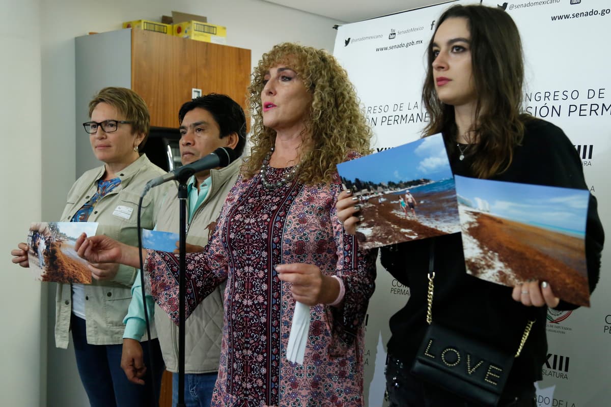 Buscan que AMLO priorice combate al sargazo