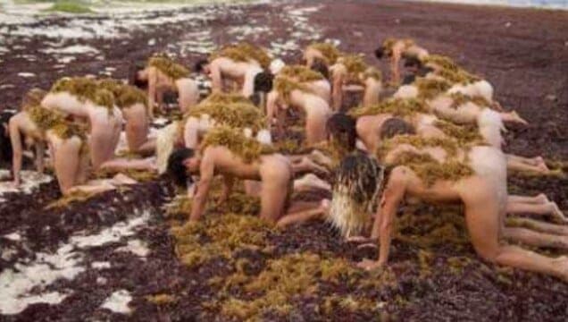 Spencer Tunick a su estilo pone el sargazo de Tulum en los ojos del mundo