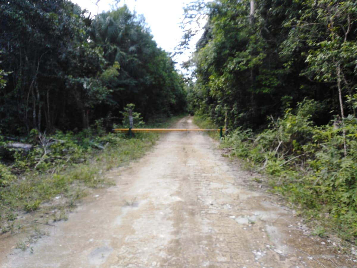 Acusan desvío de recursos en Ichkabal