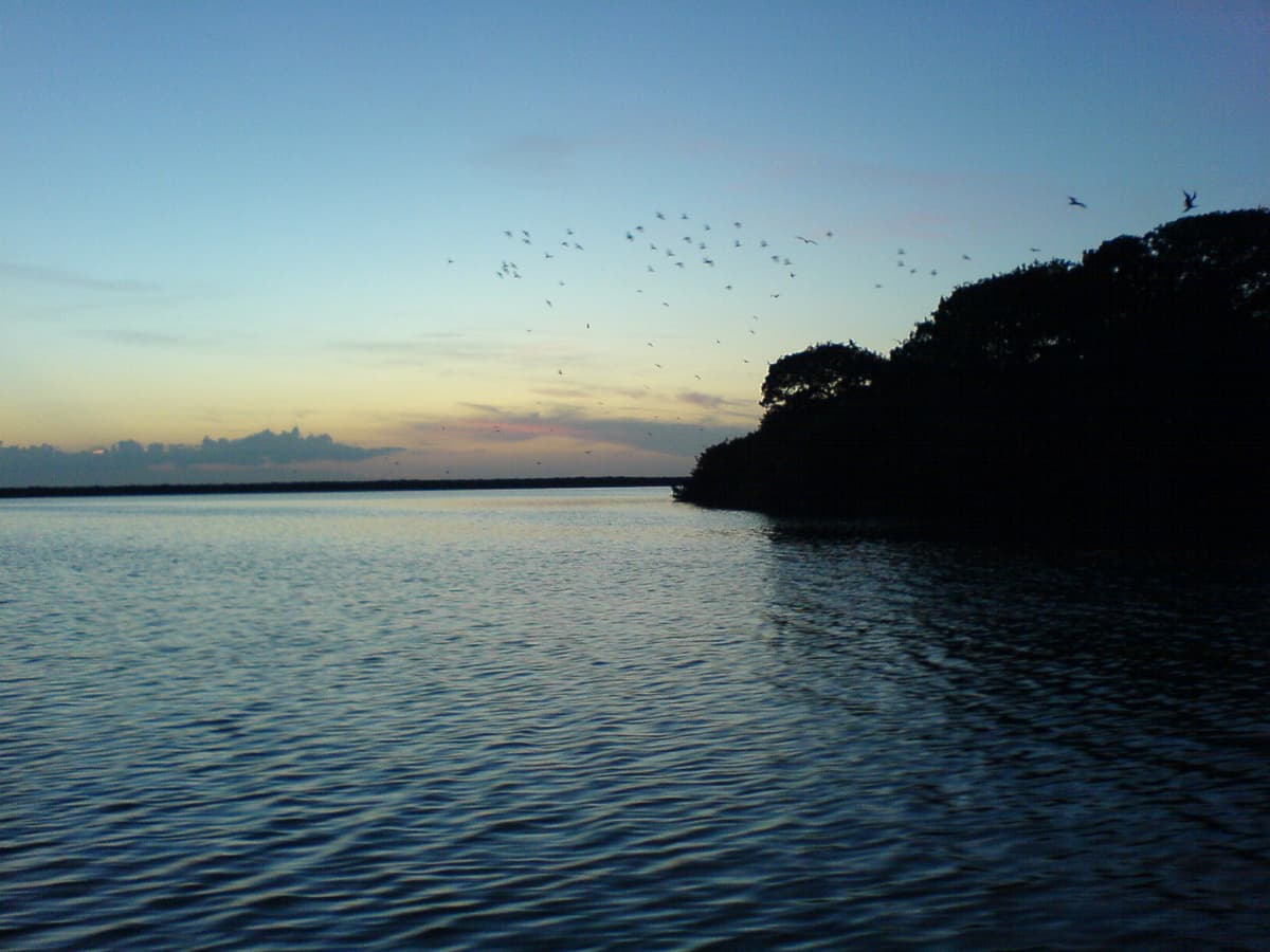 Clausura Profepa obras en Pulticub-Punta Herrero, reserva de la biósfera Sian Ka´an