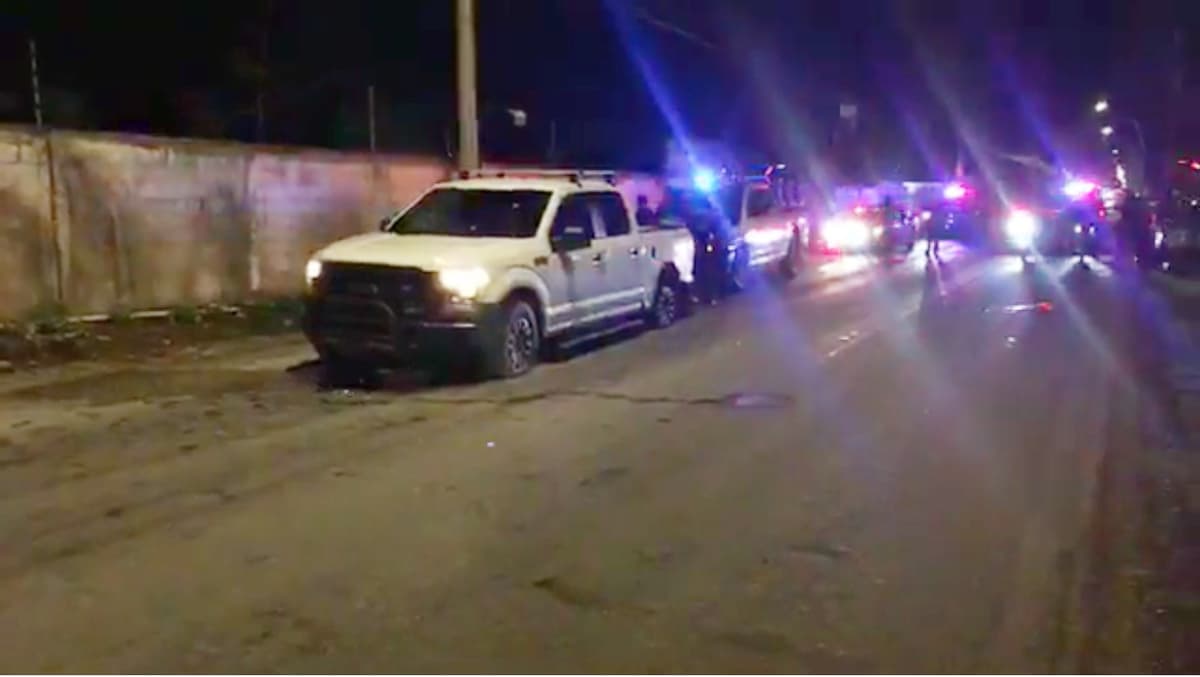 Los Cardona Muza, líderes de mafia vehicular en Quintana Roo