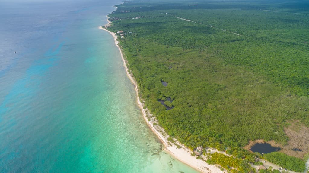 ¿Cuánto valen los ecosistemas de Cozumel?