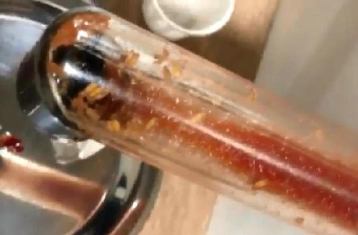 Comensal toma video de gusanos en la catsup de Mc Donald's