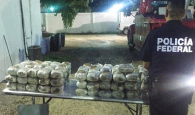 Camión rumbo a Chetumal llevaba cargamento de marihuana oculto