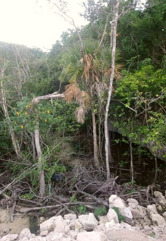 Permite Laura Beristain relleno de cenote para construir fraccionamiento