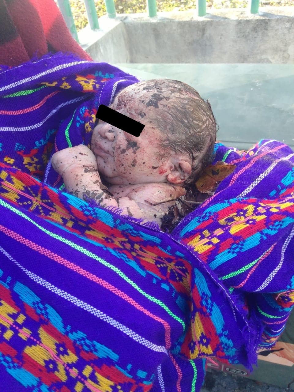 Abandonan a recién nacido en área verde