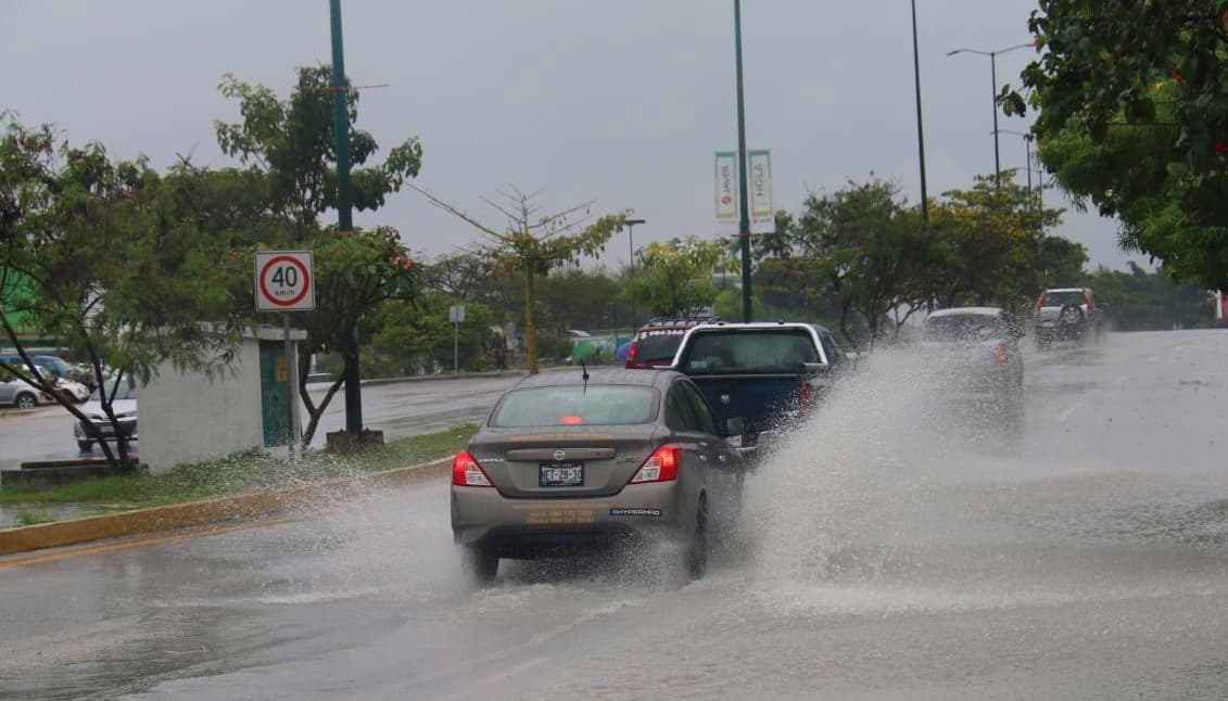Fuertes lluvias provocaron inundaciones y caída de árboles en Playa del Carmen