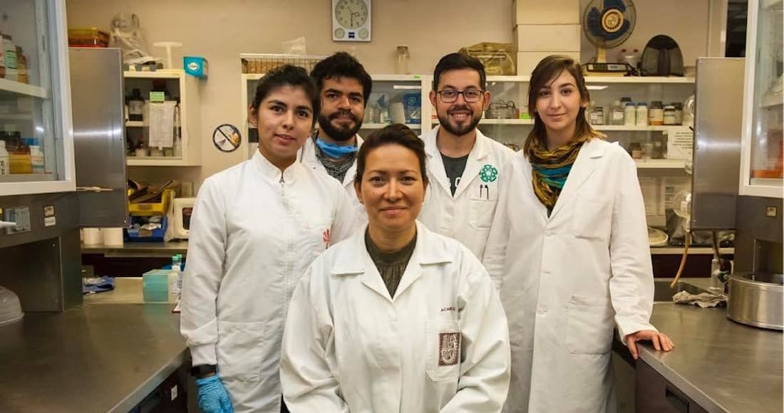 Científica del IPN logra eliminación del Virus del Papiloma Humano en 29 mujeres