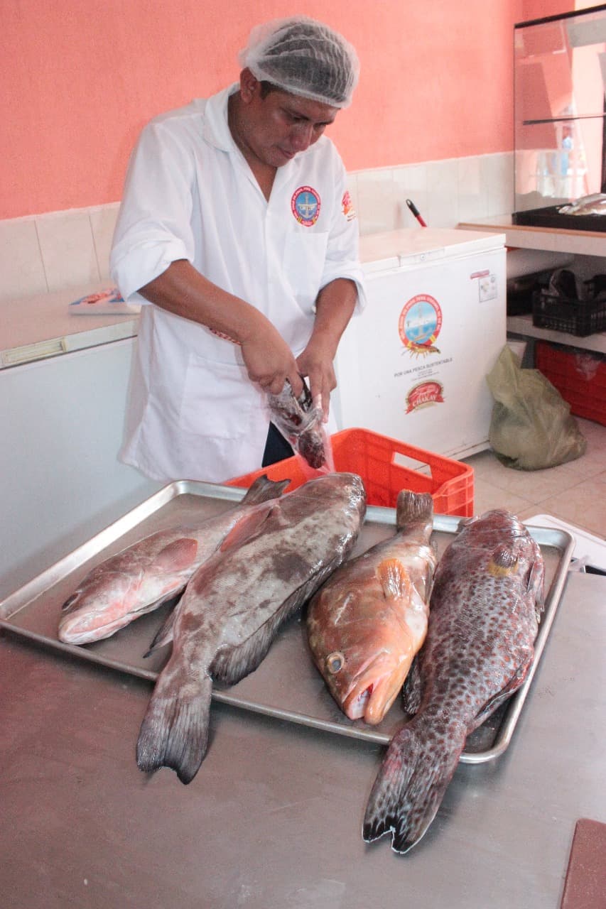 Cae 40 % producción pesquera en Cozumel