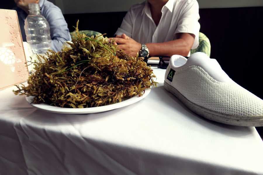 ¿Para qué puede servir el sargazo?