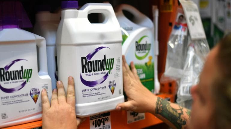 Monsanto, culpable por efectos cancerígenos, deberán pagar 81 MDD