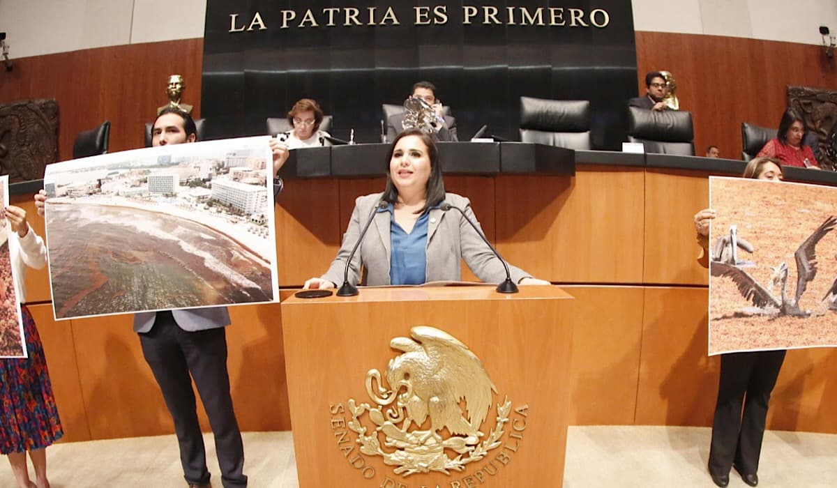 Mayuli Martínez presenta iniciativa para combatir el sargazo
