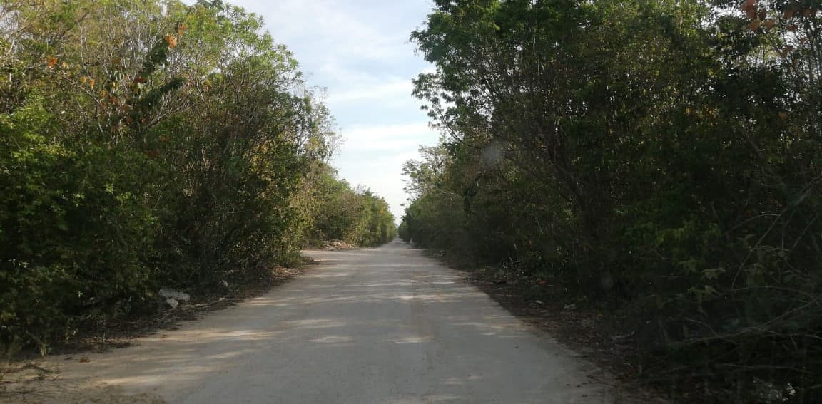 Otro ejecutado en Solidaridad, con tiro de gracia