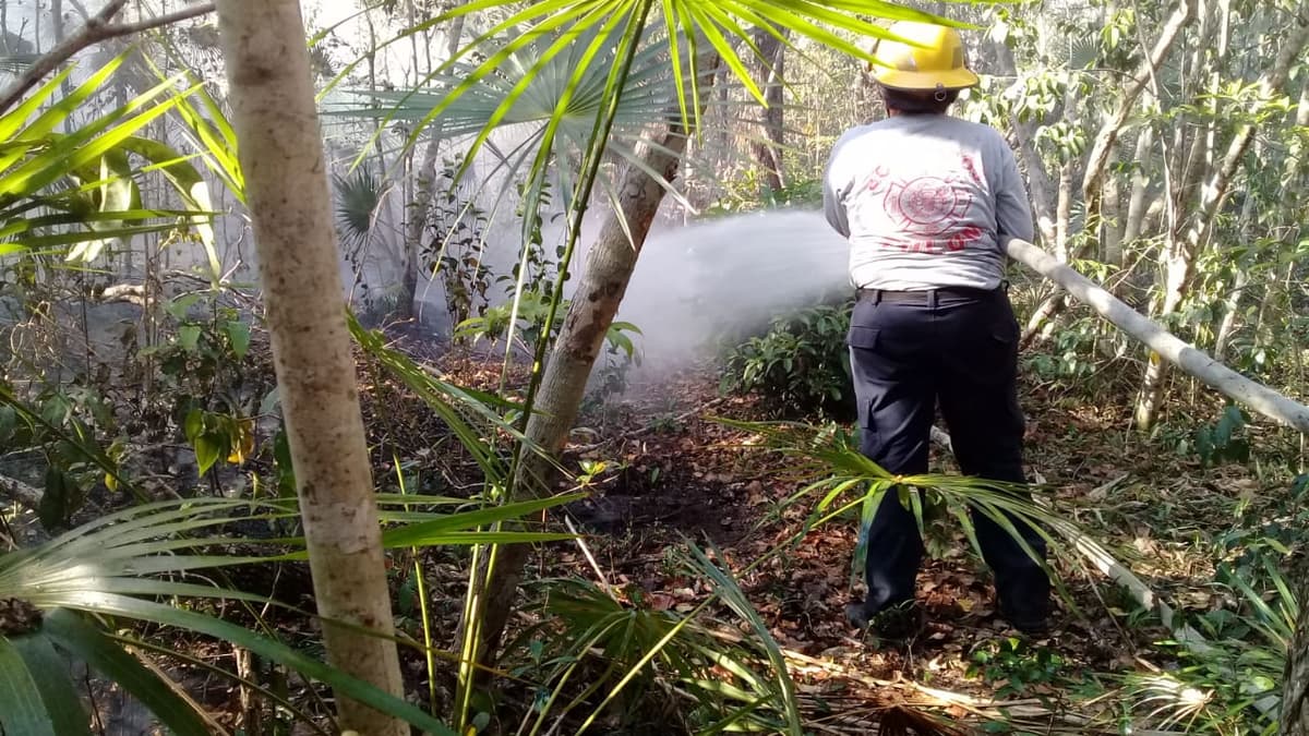 Ocurre primer incendio de temporada en Tulum