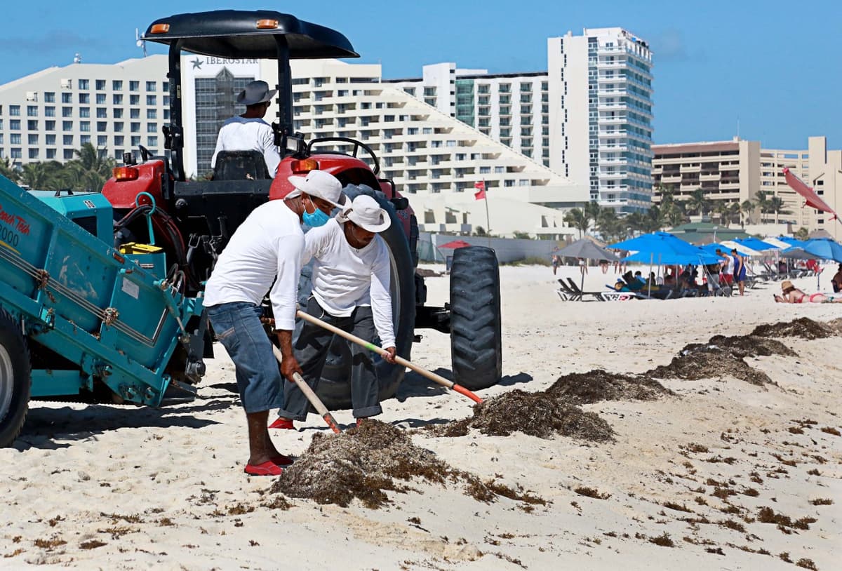  Denuncian a “aviadores” en Zofemat de Benito Juárez