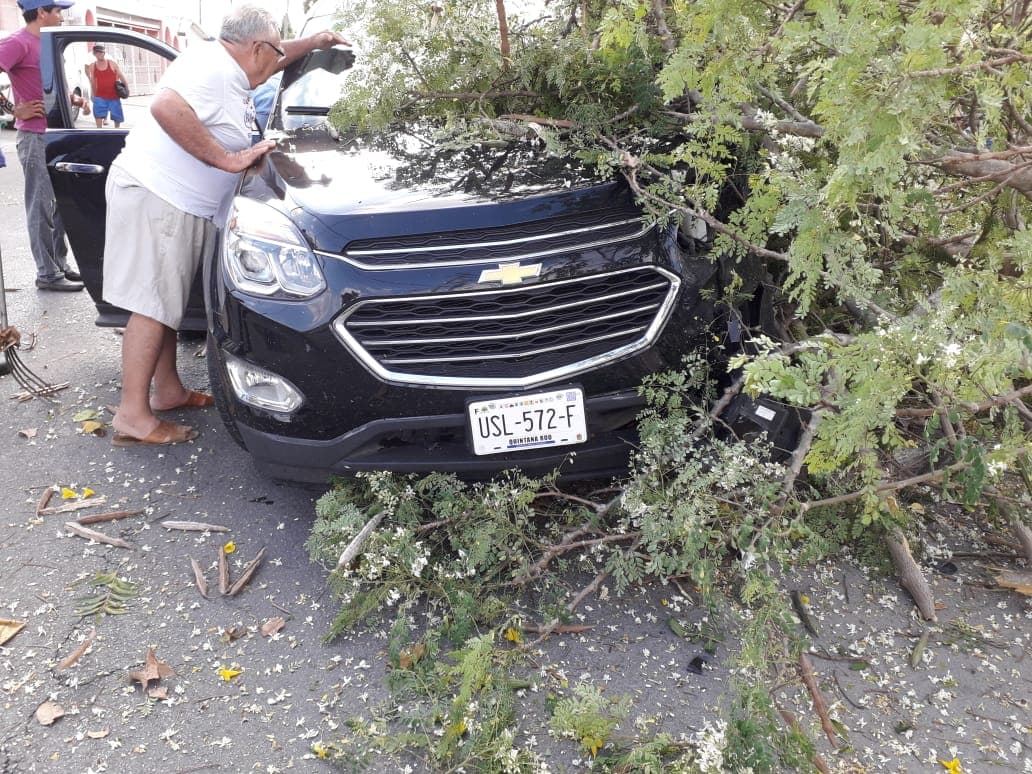 Ebrio, destruye árboles con su camioneta