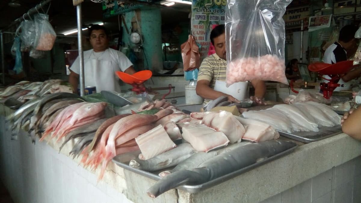 Retiran 160 kg de mariscos descompuestos a la venta en Cancún