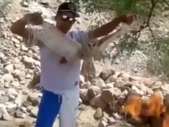 Detienen a sujeto que quemó lechuza viva en Durango