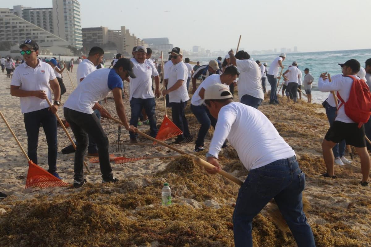 Convocan a “echarle montón” al sargazo en Cancún