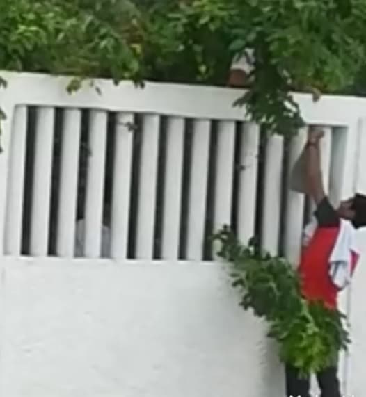 Captan a estudiantes de Cozumel ingresando cervezas al Cobach