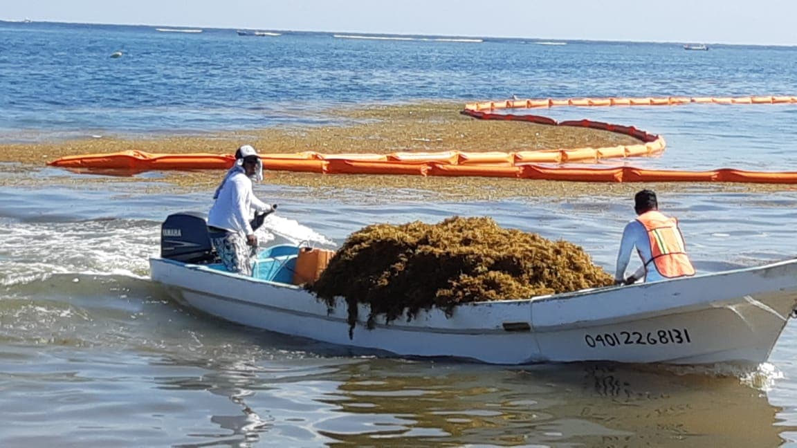 Presentan prototipo de barcaza más efectiva y rentable para combatir sargazo