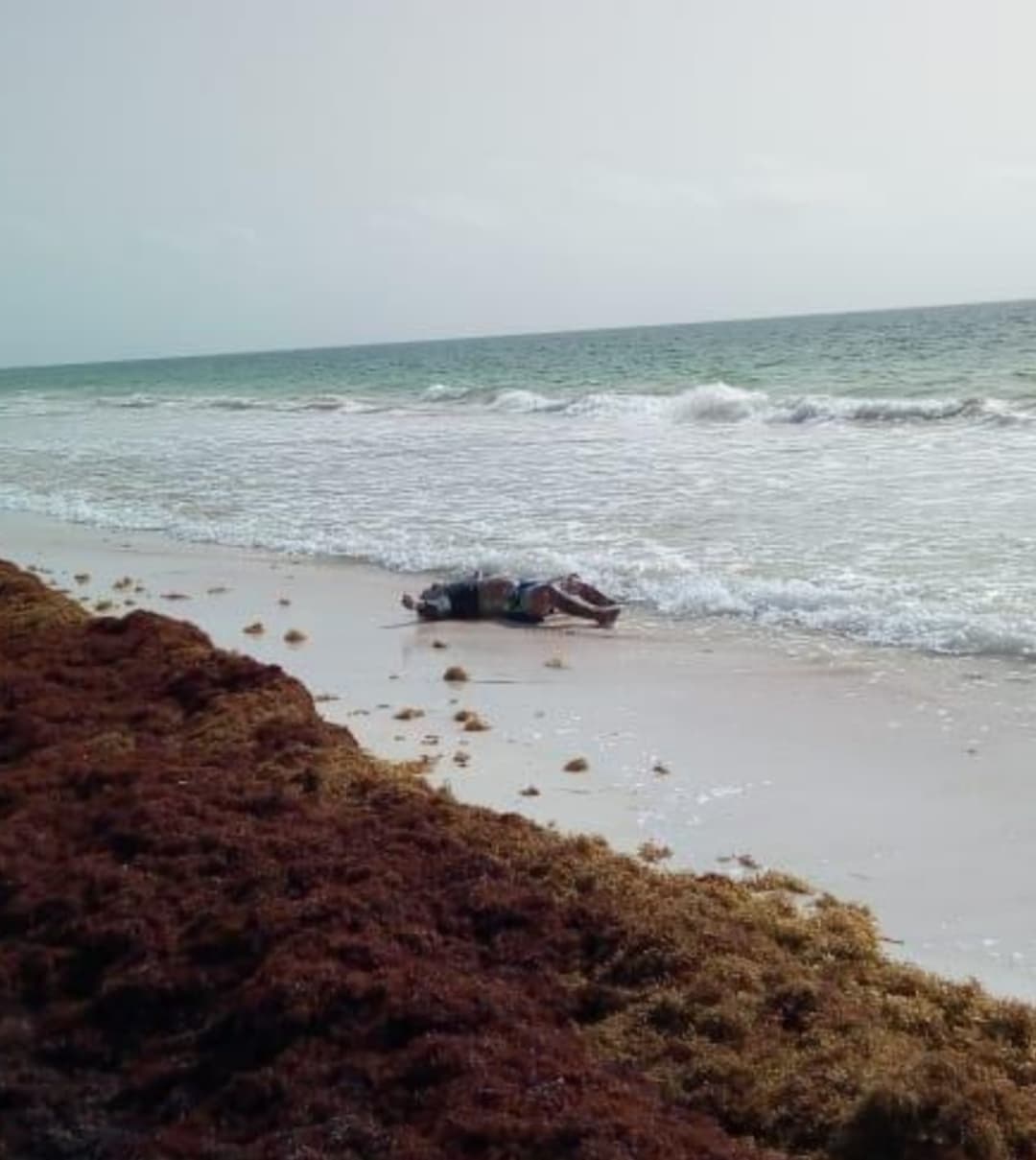 Hallan cuerpo ahogado y putrefacto en Tulum