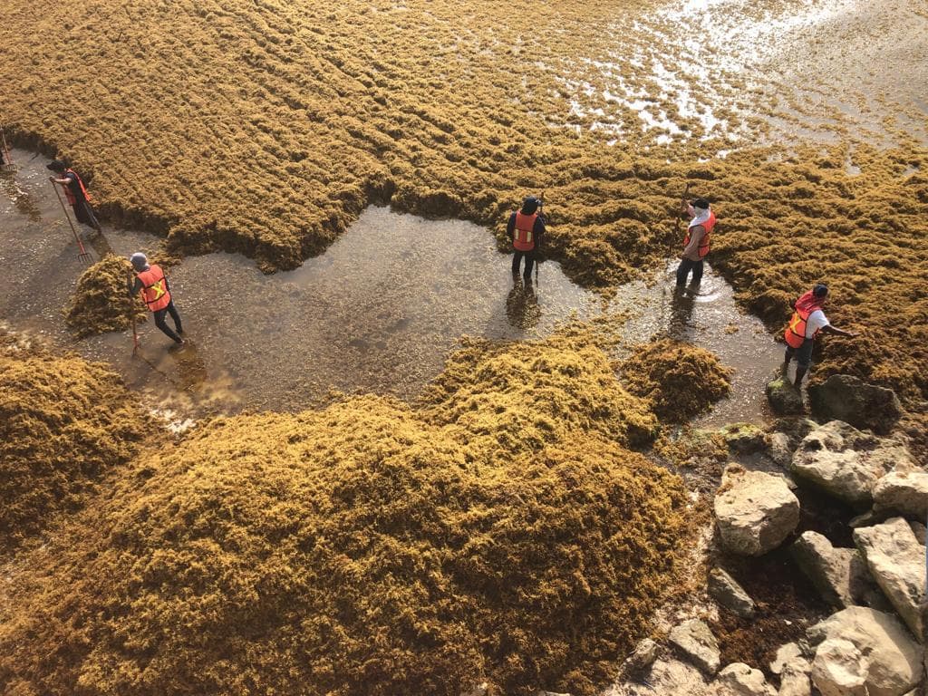 Sargazo e inseguridad se cubren con “cortina de agua”