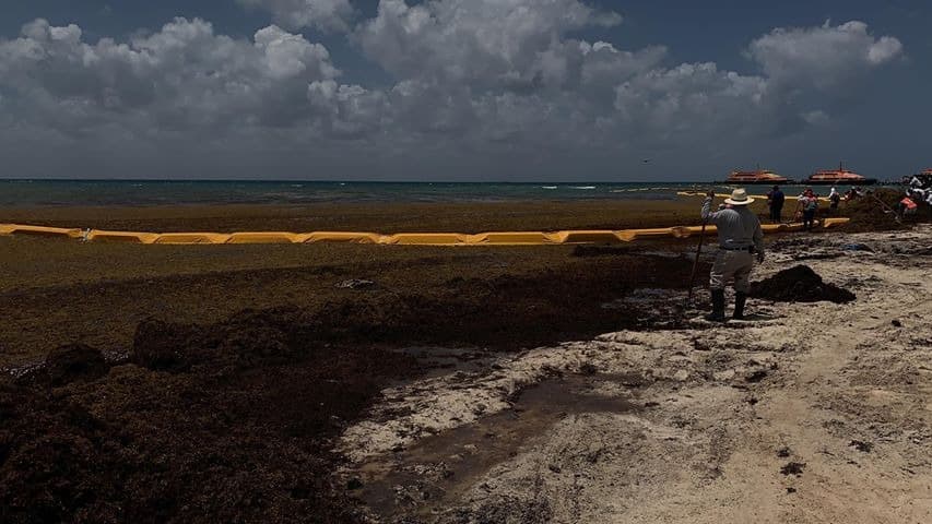 Barrera de Ar.Co arroja “cerros” de sargazo en un punto de la playa