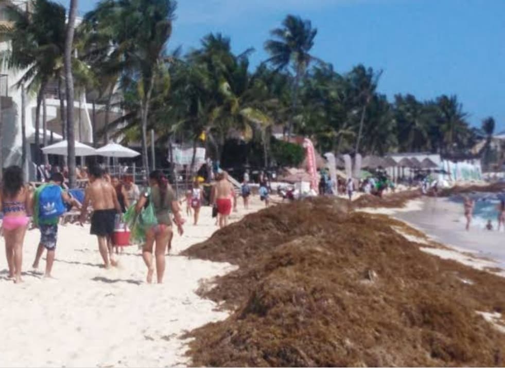 Bañistas a Tulum disfrutan de las playas, aún con sargazo