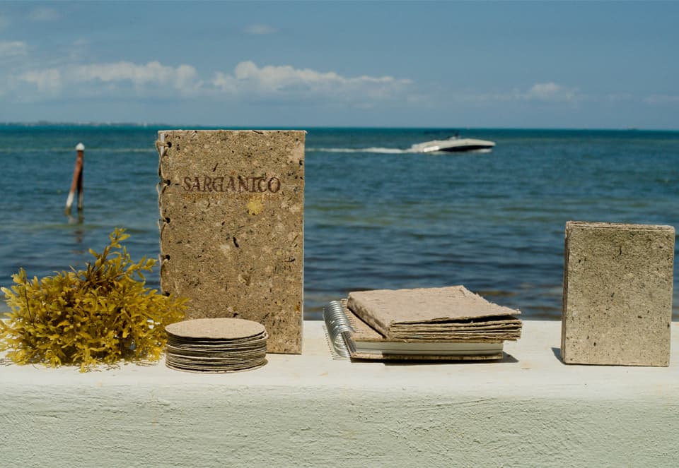 Sargánico, la empresa mexicana que elabora productos sustentables con sargazo