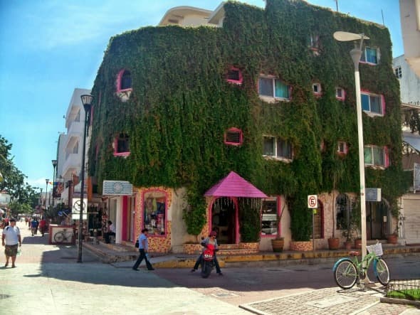 Iniciará renovación de la Quinta Avenida el próximo mes