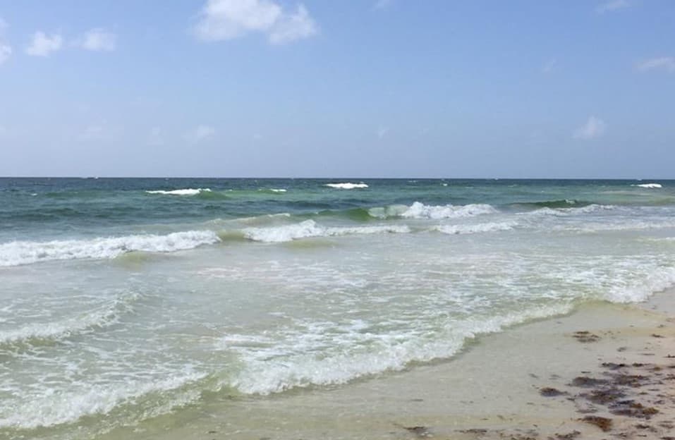 Sargazo en Tulum no es siempre, y cuando llega, se atiende