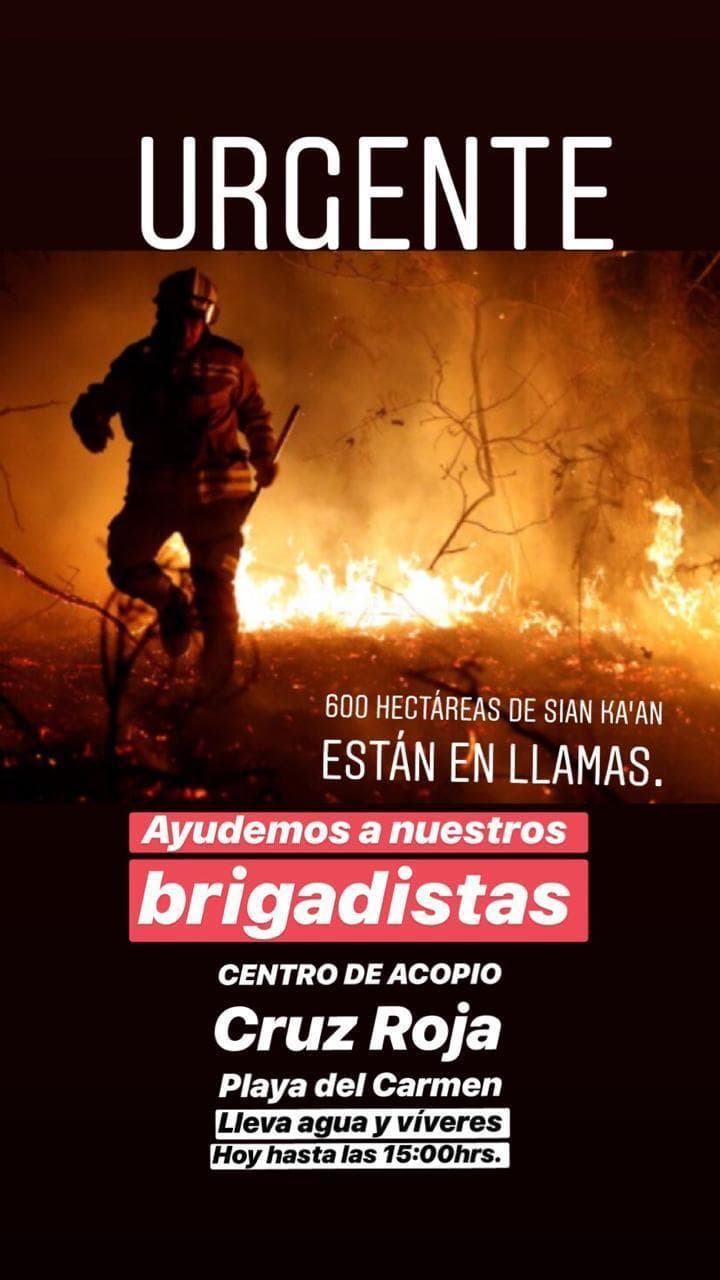 Se incendia Reserva de la Biósfera de Sian Ka'an; consumió al menos 600 hectáreas