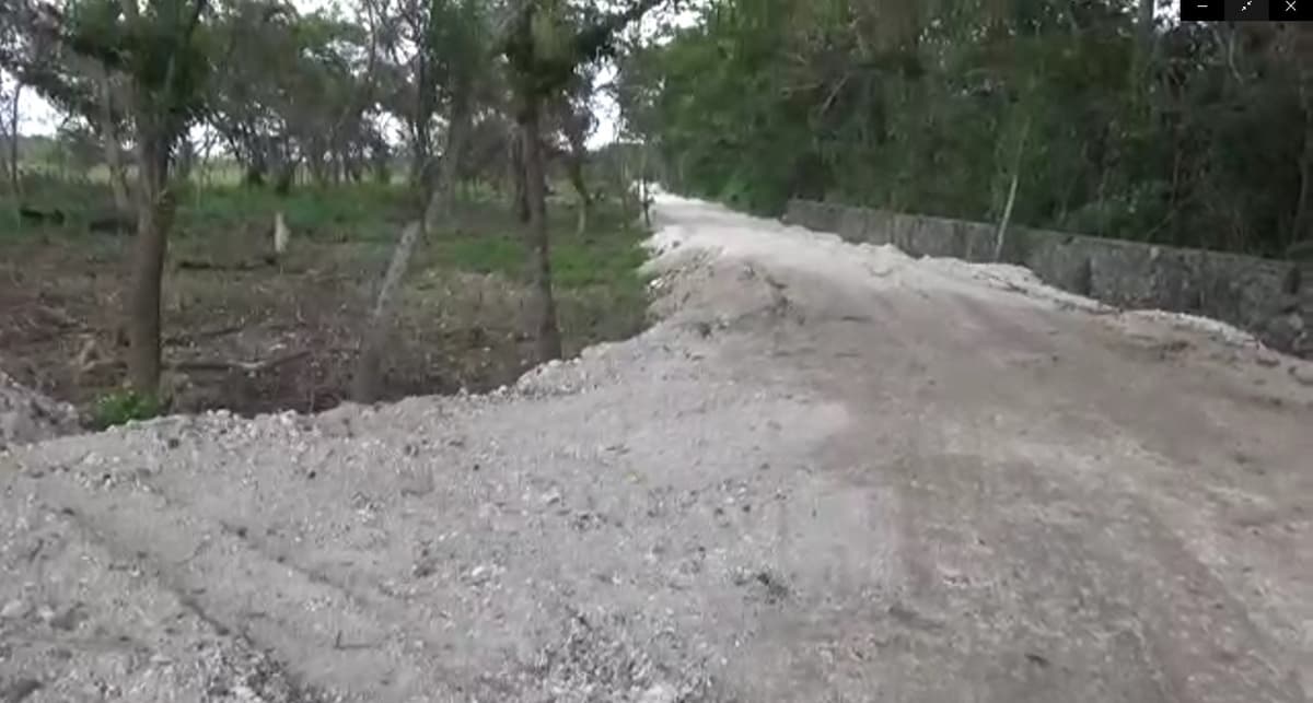 Denuncian ecocidio en Ejido “Juan Sarabia” de Chetumal