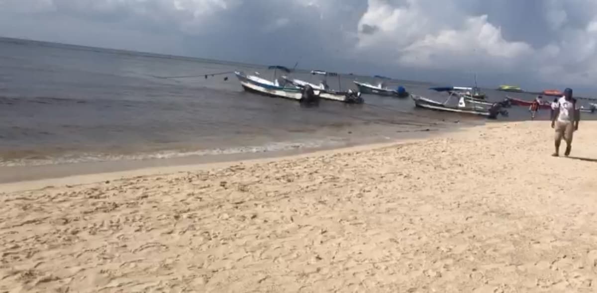 Corrientes marinas limpian el sargazo de Playa del Carmen