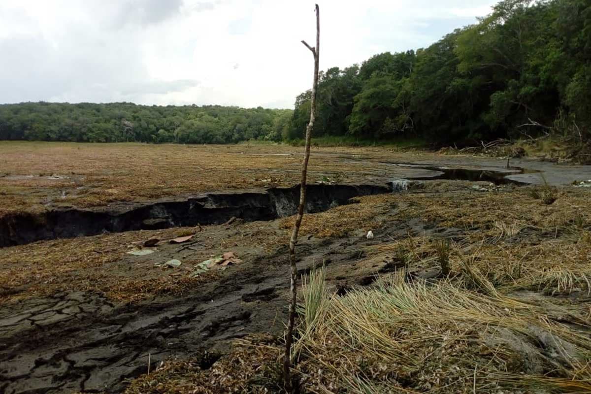Emergencia por sequía severa en la cuenca de Yucatán; afectación directa a Quintana Roo