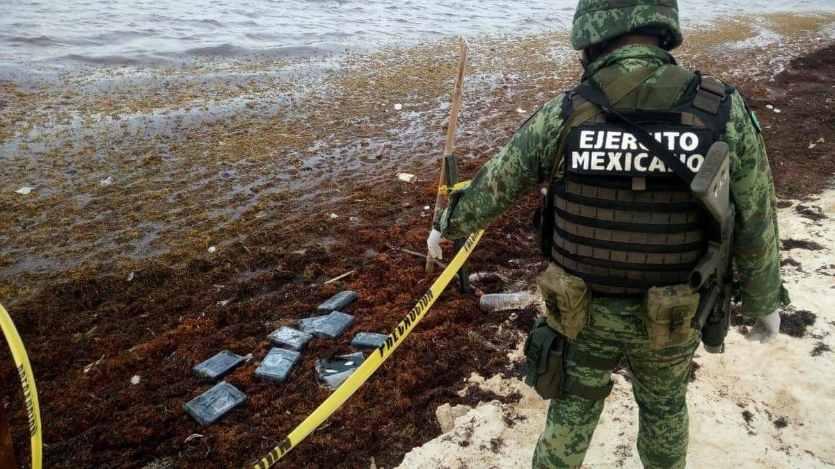 Recalan 5 mdp en cocaína en Puerto Morelos