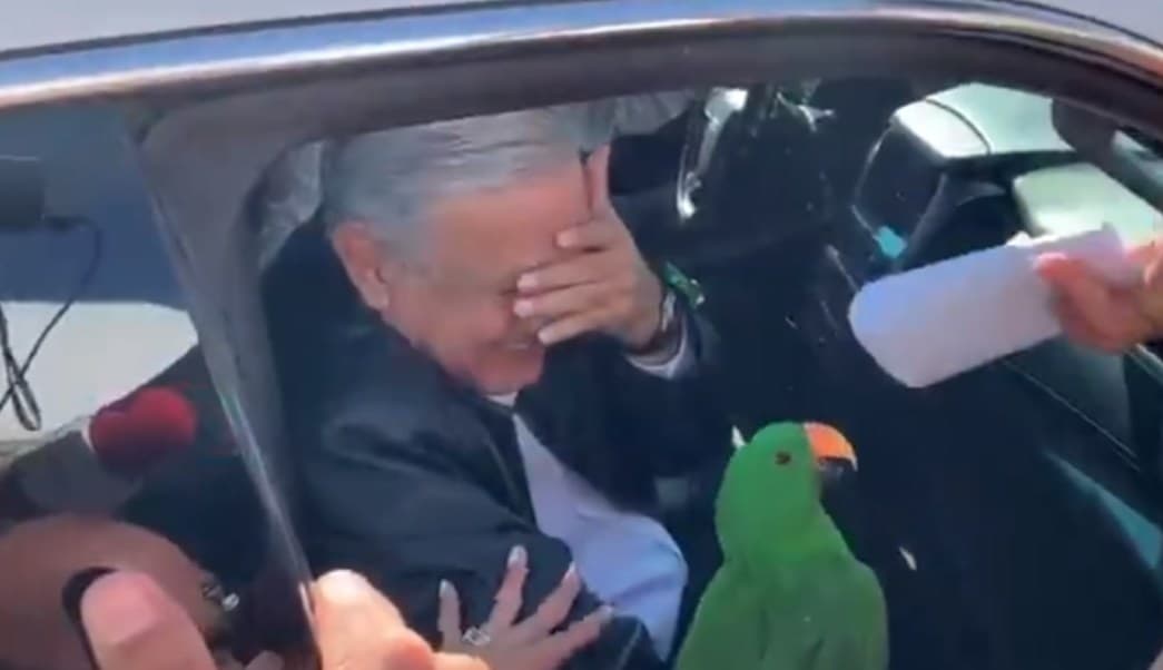 Sorprenden a AMLO con un perico