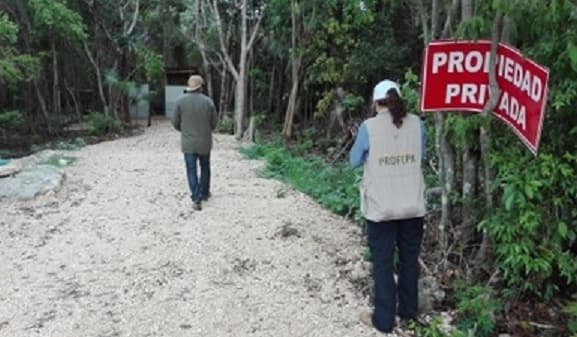 Después de devastar mangle en Puerto Morelos, hotel El Cid "pide permiso" para contruir