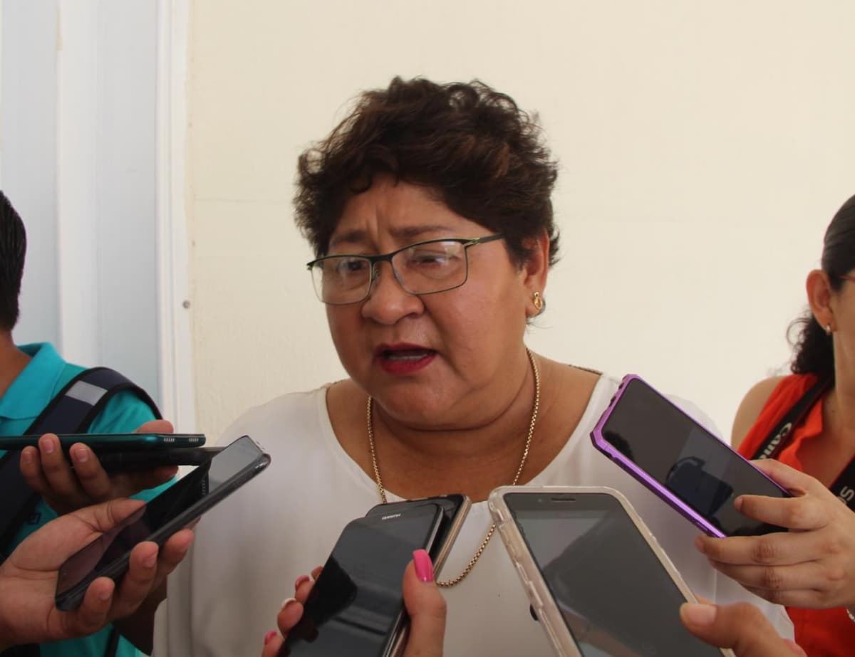 Hasta el momento no hay nuevos impuestos: Sefiplan